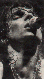 19.gif (47376 bytes)